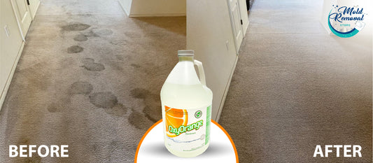 Industry-Leading Cleaning Products for Professionals