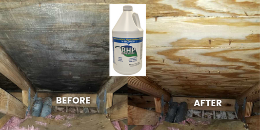 BHP Supermax - Mold & Mildew Stain Remover & Surface Sealer