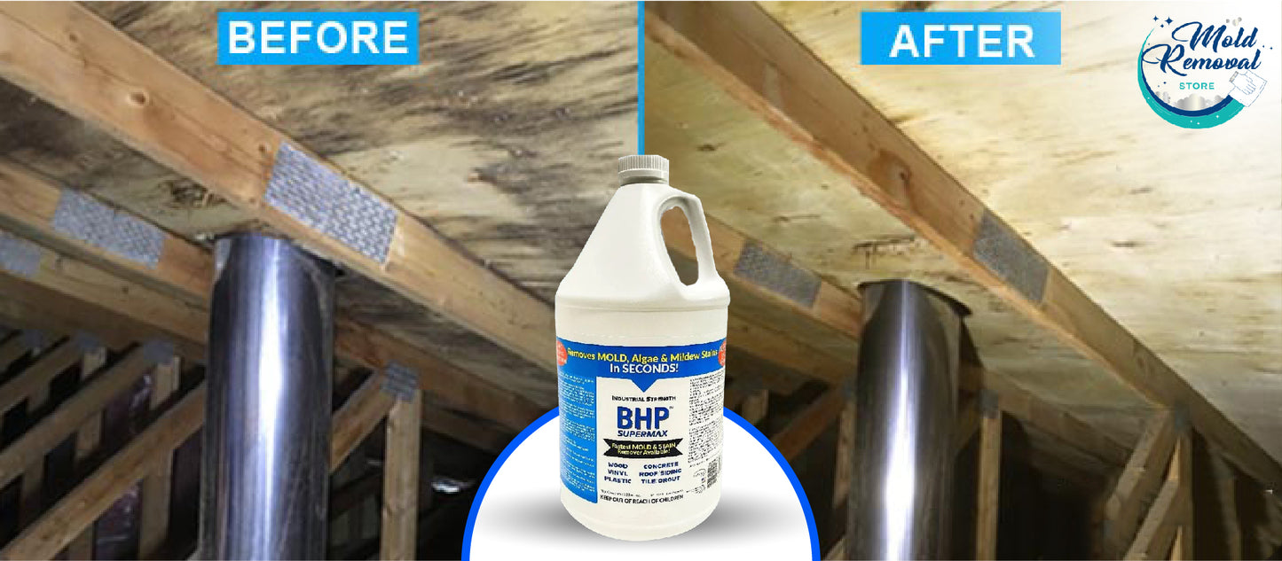 BHP Supermax - Mold & Mildew Stain Remover & Surface Sealer