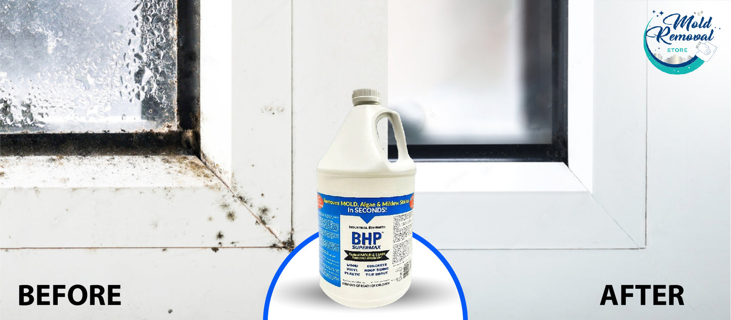 BHP Supermax - Mold & Mildew Stain Remover & Surface Sealer