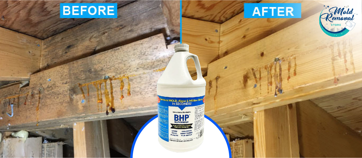 BHP Supermax - Mold & Mildew Stain Remover & Surface Sealer