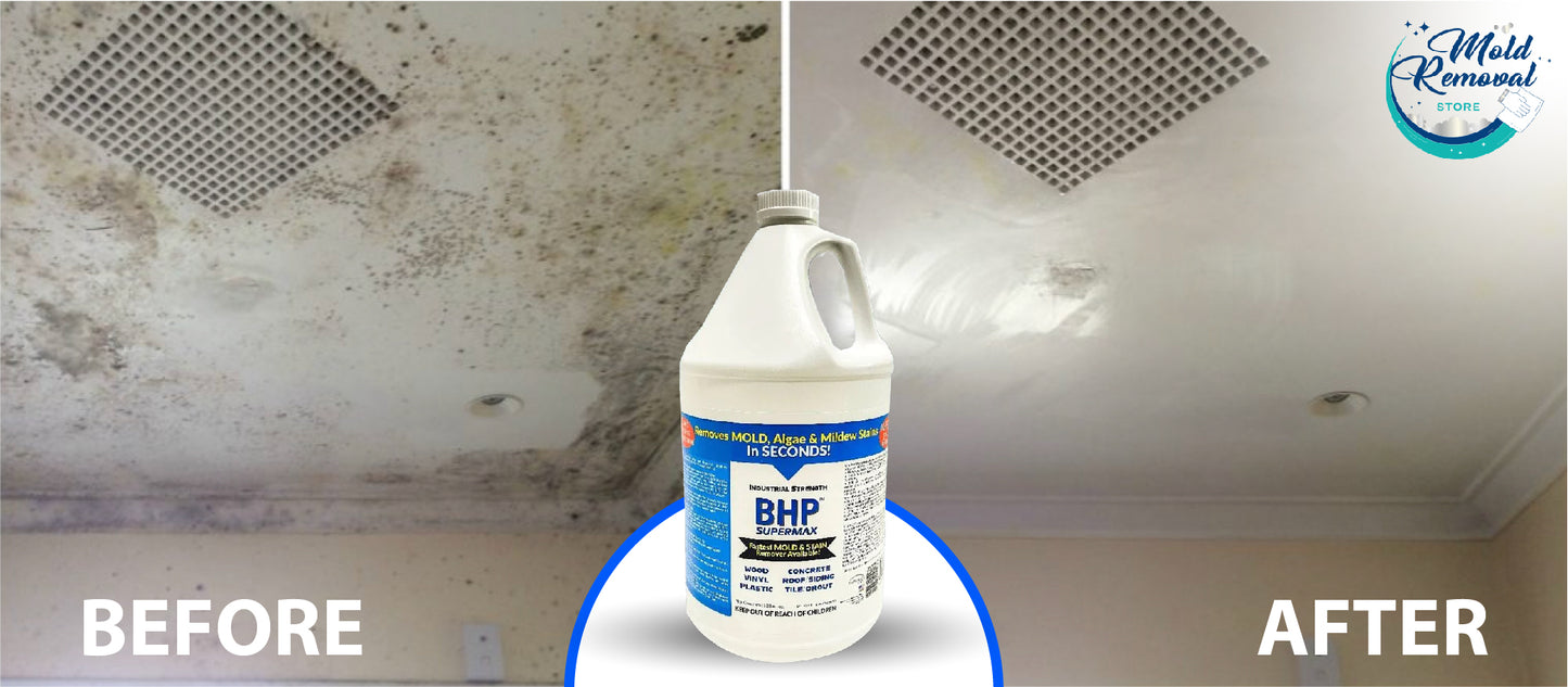 BHP Supermax - Mold & Mildew Stain Remover & Surface Sealer