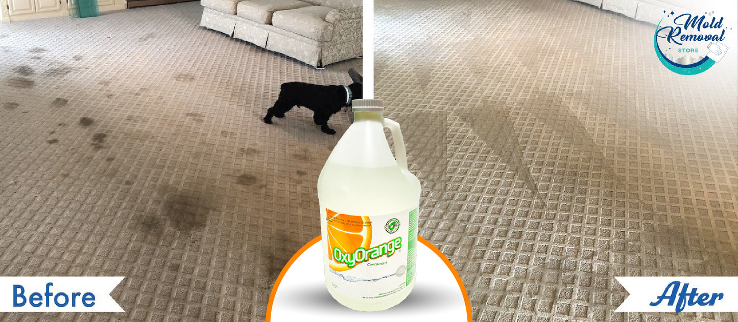 Oxy Orange® - Concentrated All Purpose Cleaner