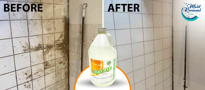 Oxy Orange® - Concentrated All Purpose Cleaner