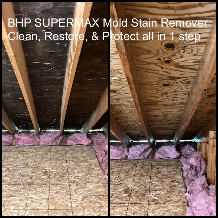 BHP Supermax - Mold & Mildew Stain Remover & Surface Sealer