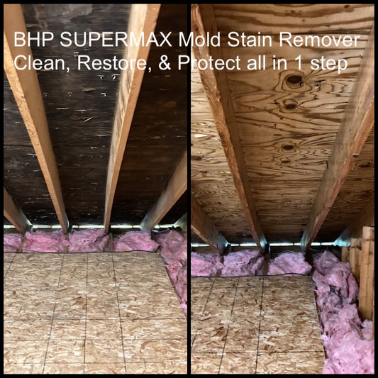 BHP Supermax - Mold & Mildew Stain Remover & Surface Sealer
